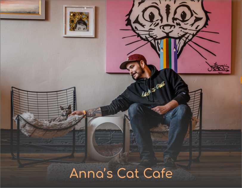 An image of cat chilling in a cat cafe, being pet by their humans slave um I mean hotel guest
